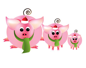 Merry Christmas from three pink piggies on a white background