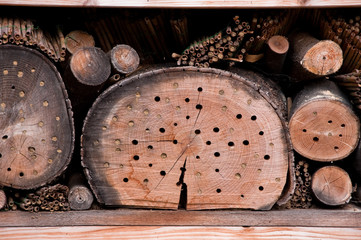 Insektenhotel im Detail