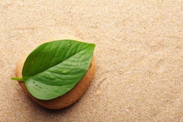 zen stone with leaf