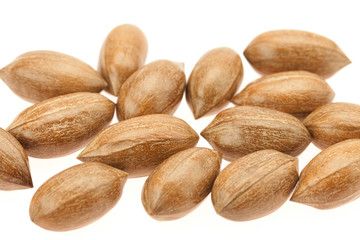 Pecan isolated on white