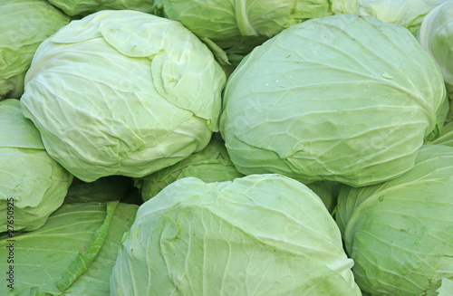 &amp;quot;Weißkraut&amp;quot; Stockfotos und lizenzfreie Bilder auf Fotolia.com - Bild ...