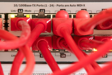 Netzwerkkabel / Switch