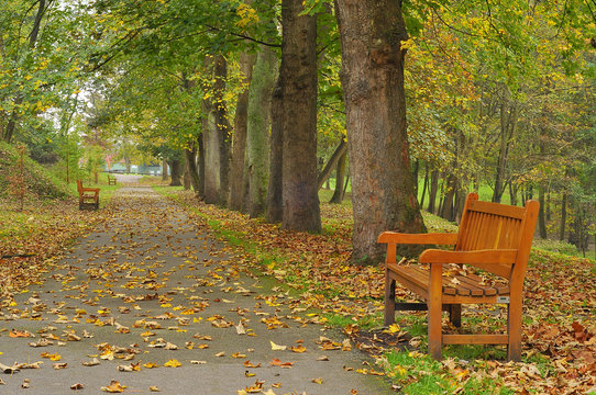 Paseo por el parque