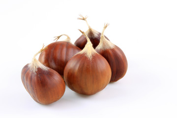 chestnut nuts