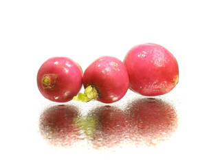 radish