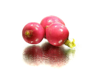 radish