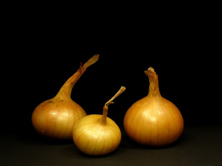 bulbs of onion