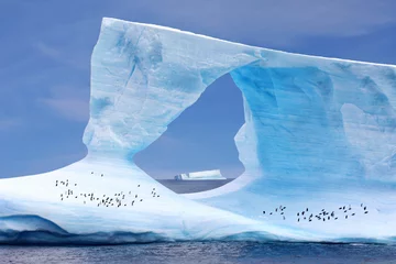 Fototapete Antarktis Eisberg mit Pinguinen - Iceberg w/ Penguins