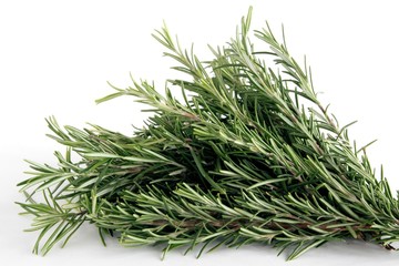 rosemary herb