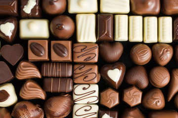 various chocolate pralines