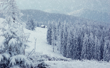 Winter landscape in mountains