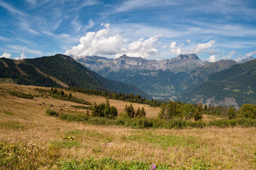 Mountain landscape. Alps, Chamonix valley, Col de Voza