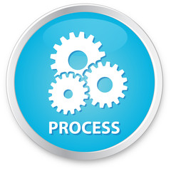 Process