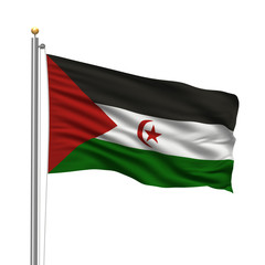 Flag of the Sahrawi Arab Democratic Republic waving