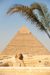 Fototapeta na wymiar Giza Pyramid Entrance Sphinx Chefrena Palm
