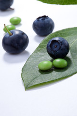 Bilberry pills and berries