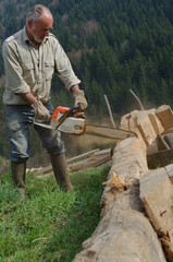 coupe de bois à la tronçonneuse