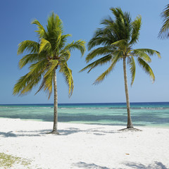 Playa Girón, Caribbean Sea, Cuba