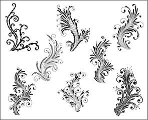 vector floral set