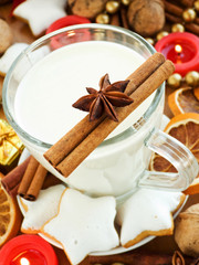 Snack for Santa