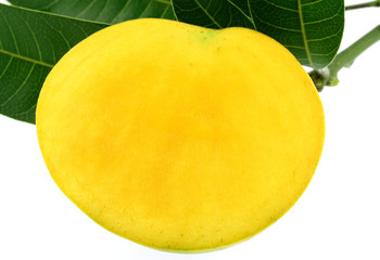 tranche de mangue