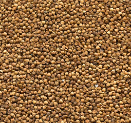 background with grain