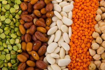 Various legumes