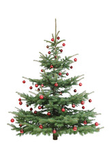 Christbaum