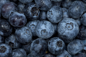 blueberry watered  background