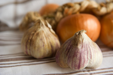 Fototapeta premium Garlic and onions