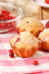 Cranberry muffins