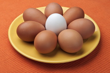Egg flower