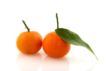 Tangerines