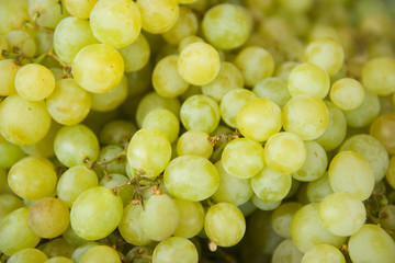 White grapes