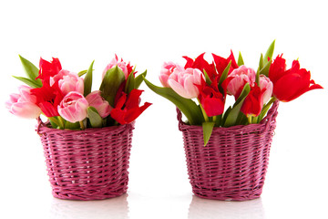 Baskets colorful tulips