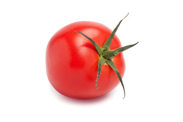 Fototapeta premium Pomidor