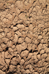 dry dirt