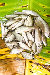 Fresh fish on banana leaf preparing for Thai food,