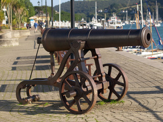 Cannon
