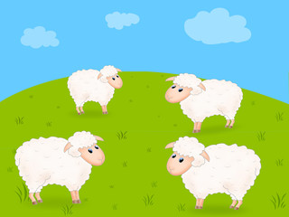 Obraz na płótnie Canvas Innocent sheep