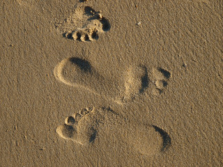 footprints in the wet sand