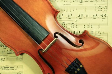violin