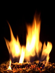Pellet di legno e fuoco