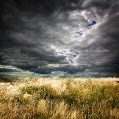 cloudscape with field