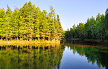 Fototapeta na wymiar lake in a deep forest