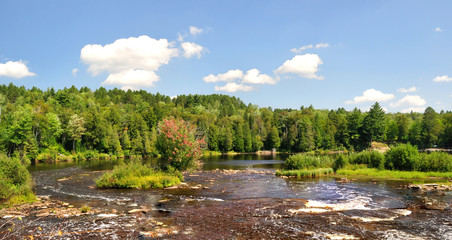 Fototapeta na wymiar landscape with river and forest
