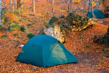 two beautiful touristic tent in a red autumn forest