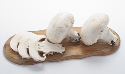 Funghi bianchi