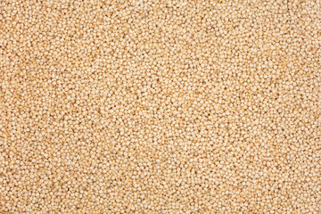 Quinoa Cereal Grains