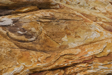 Yellow stones on the Arctic Coast